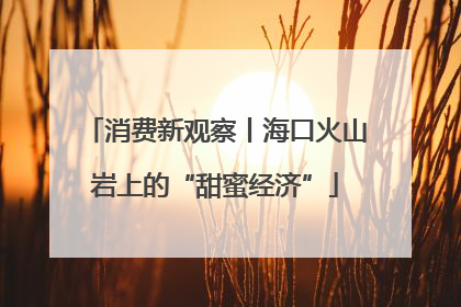 消费新观察丨海口火山岩上的“甜蜜经济”