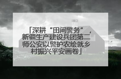 深耕“田间警务”，新疆生产建设兵团第二师公安以警护农绘就乡村振兴平安画卷