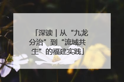 深读｜从“九龙分治”到“流域共生”的福建实践