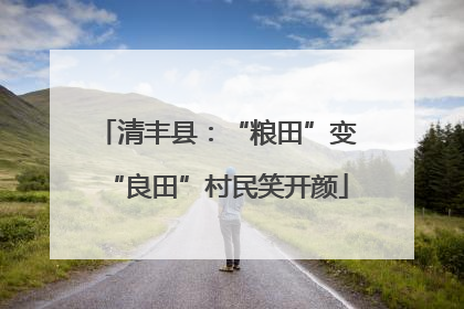 清丰县：“粮田”变“良田”村民笑开颜