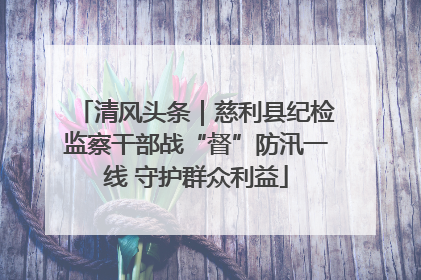 清风头条｜慈利县纪检监察干部战“督”防汛一线 守护群众利益