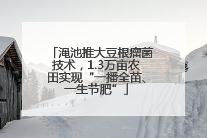 渑池推大豆根瘤菌技术，1.3万亩农田实现“一播全苗、一生节肥”