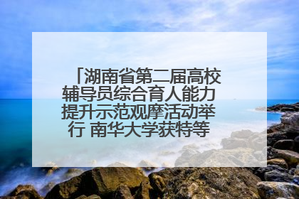 湖南省第二届高校辅导员综合育人能力提升示范观摩活动举行 南华大学获特等奖和一等奖