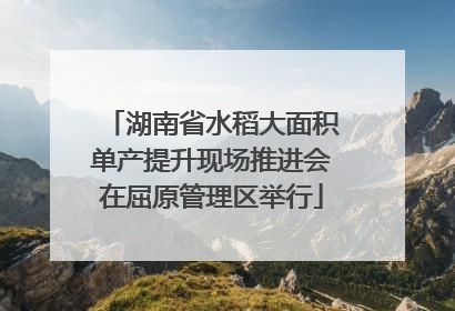湖南省水稻大面积单产提升现场推进会在屈原管理区举行