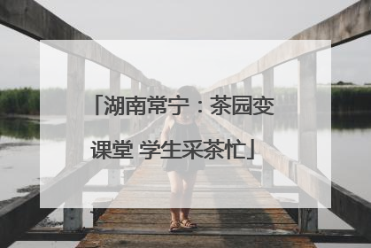 湖南常宁：茶园变课堂 学生采茶忙
