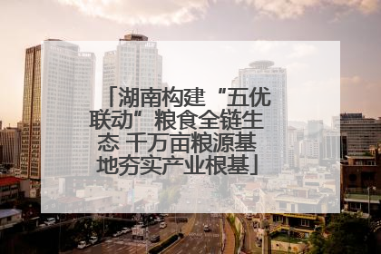 湖南构建“五优联动”粮食全链生态 千万亩粮源基地夯实产业根基