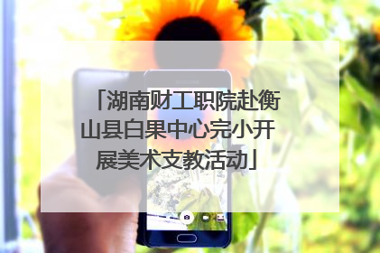 湖南财工职院赴衡山县白果中心完小开展美术支教活动