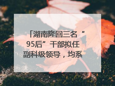 湖南隆回三名“95后”干部拟任副科级领导，均系硕士选调生
