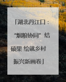 湖北丹江口：“烟粮协同”结硕果 绘就乡村振兴新画卷
