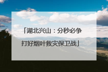 湖北兴山：分秒必争 打好烟叶救灾保卫战