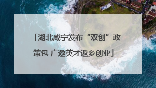 湖北咸宁发布“双创”政策包 广邀英才返乡创业