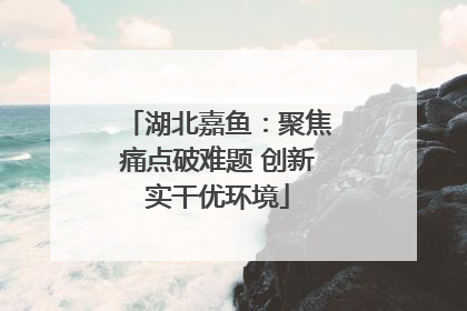 湖北嘉鱼：聚焦痛点破难题 创新实干优环境