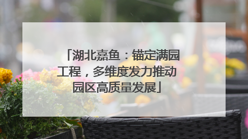 湖北嘉鱼：锚定满园工程，多维度发力推动园区高质量发展