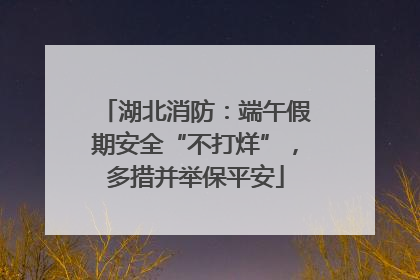 湖北消防：端午假期安全“不打烊”，多措并举保平安