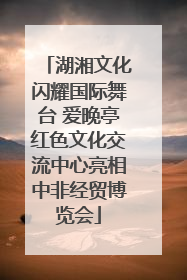 湖湘文化闪耀国际舞台 爱晚亭红色文化交流中心亮相中非经贸博览会