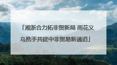 湘浙合力拓非贸新局 雨花义乌携手共建中非贸易新通道