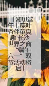湘见端午丨粽叶香伴童真趣 长沙世界之窗“端午·六一”双节活动将启