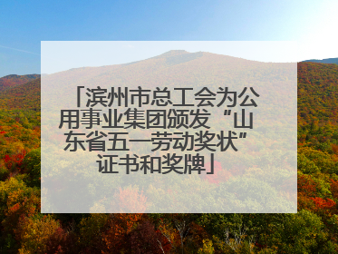 滨州市总工会为公用事业集团颁发“山东省五一劳动奖状”证书和奖牌