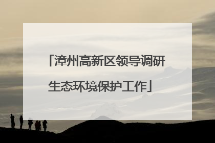 漳州高新区领导调研生态环境保护工作