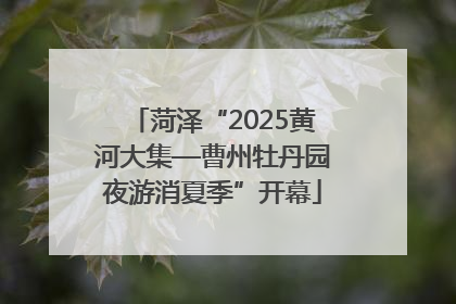 菏泽“2025黄河大集—曹州牡丹园夜游消夏季”开幕