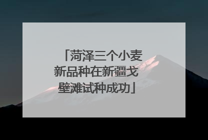 菏泽三个小麦新品种在新疆戈壁滩试种成功