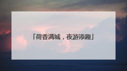 荷香满城，夜游添趣