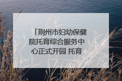荆州市妇幼保健院托育综合服务中心正式开园 托育宣传月同步启动