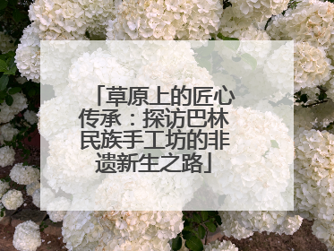 草原上的匠心传承：探访巴林民族手工坊的非遗新生之路