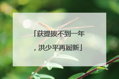 获提拔不到一年，洪少平再履新