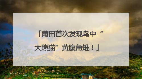 莆田首次发现鸟中“大熊猫”黄腹角雉！