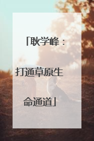 耿学峰：打通草原生命通道