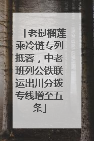 老挝榴莲乘冷链专列抵蓉，中老班列公铁联运出川分拨专线增至五条