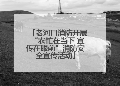 老河口消防开展“农忙在当下 宣传在眼前”消防安全宣传活动