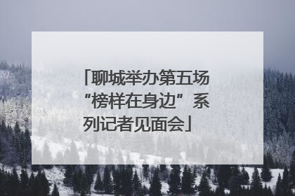 聊城举办第五场“榜样在身边”系列记者见面会