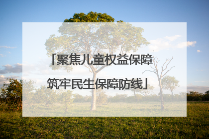 聚焦儿童权益保障 筑牢民生保障防线