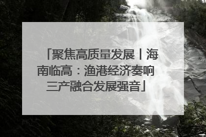 聚焦高质量发展丨海南临高：渔港经济奏响三产融合发展强音