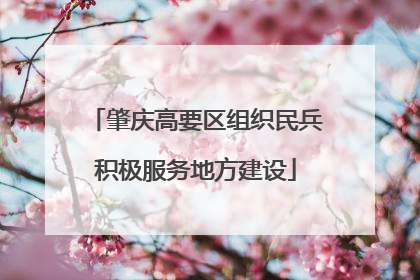 肇庆高要区组织民兵积极服务地方建设