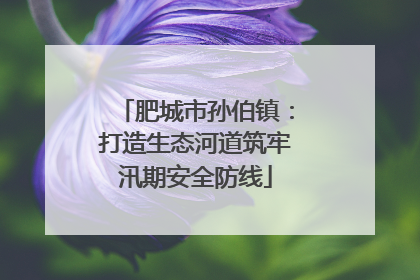 肥城市孙伯镇：打造生态河道筑牢汛期安全防线