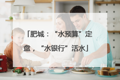 肥城：“水预算”定盘，“水银行”活水
