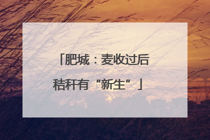 肥城：麦收过后秸秆有“新生”
