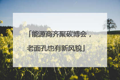 能源商齐聚碳博会，老面孔也有新风貌