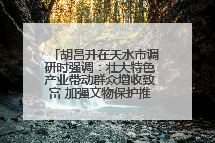 胡昌升在天水市调研时强调：壮大特色产业带动群众增收致富 加强文物保护推动文化创新发展