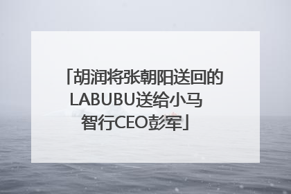 胡润将张朝阳送回的LABUBU送给小马智行CEO彭军