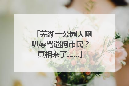 芜湖一公园大喇叭辱骂遛狗市民？真相来了……