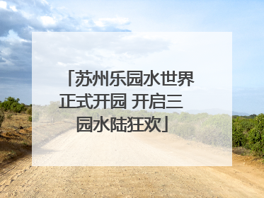 苏州乐园水世界正式开园 开启三园水陆狂欢