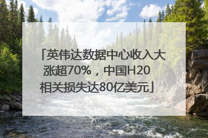 英伟达数据中心收入大涨超70%，中国H20相关损失达80亿美元