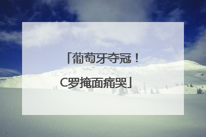葡萄牙夺冠！C罗掩面痛哭