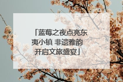 蓝莓之夜点亮东夷小镇 非遗雅韵开启文旅盛宴