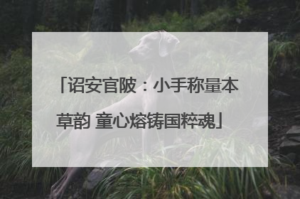 诏安官陂：小手称量本草韵 童心熔铸国粹魂