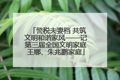 警税夫妻档 共筑文明和谐家风——记第三届全国文明家庭王娜、朱兆鹏家庭